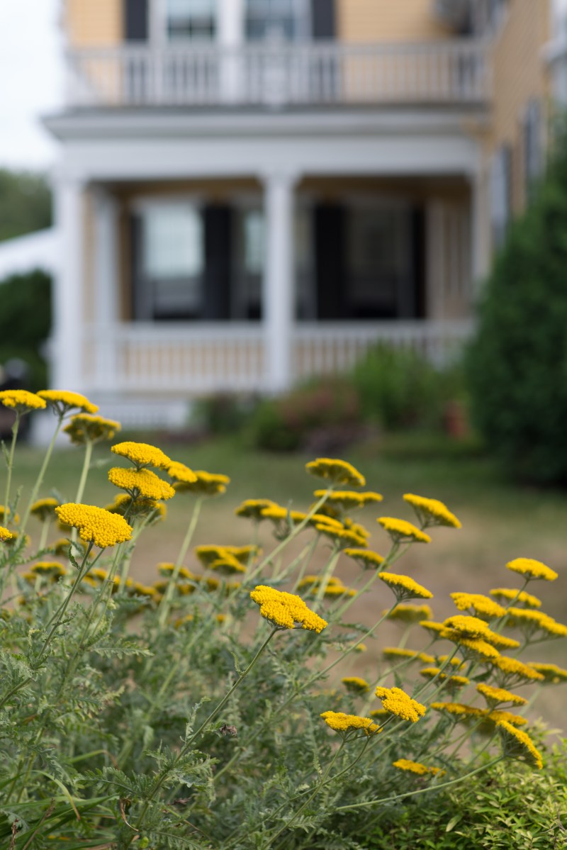 Melissa and Mael's Pierce House Wedding in Lincoln MA on The Boston Bride a Massachusetts Wedding Blog