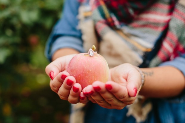 Alexandra and Robbie's Apple Orchard Engagement Session