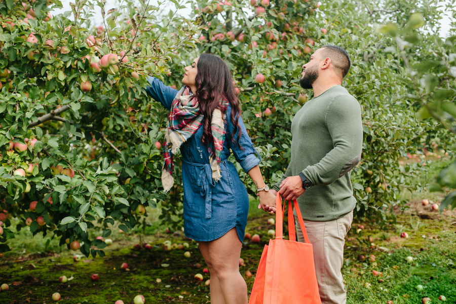 Alexandra and Robbie's Apple Orchard Engagement Session