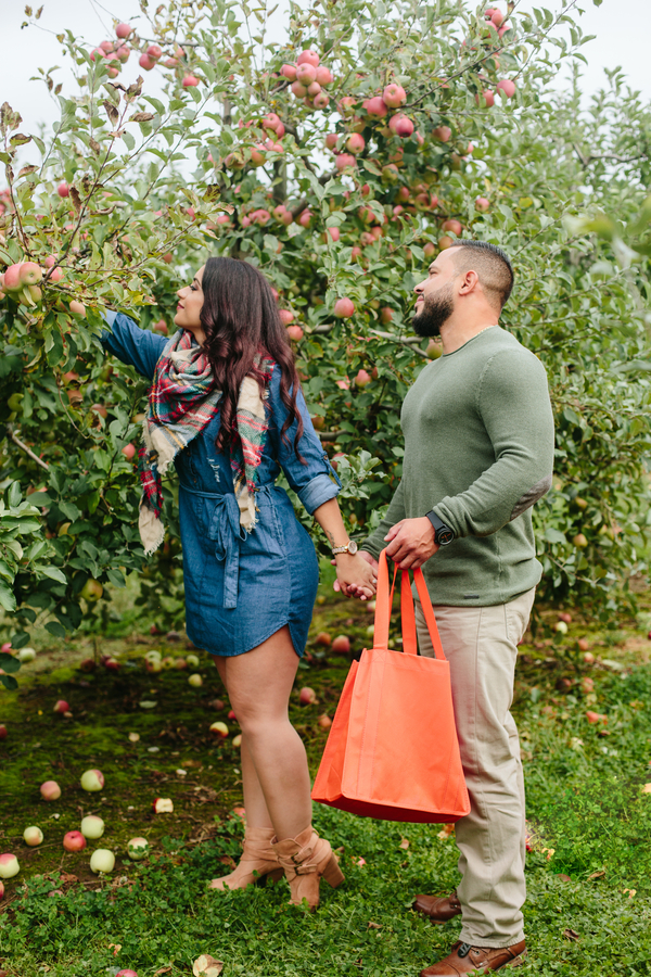 Alexandra and Robbie's Apple Orchard Engagement Session