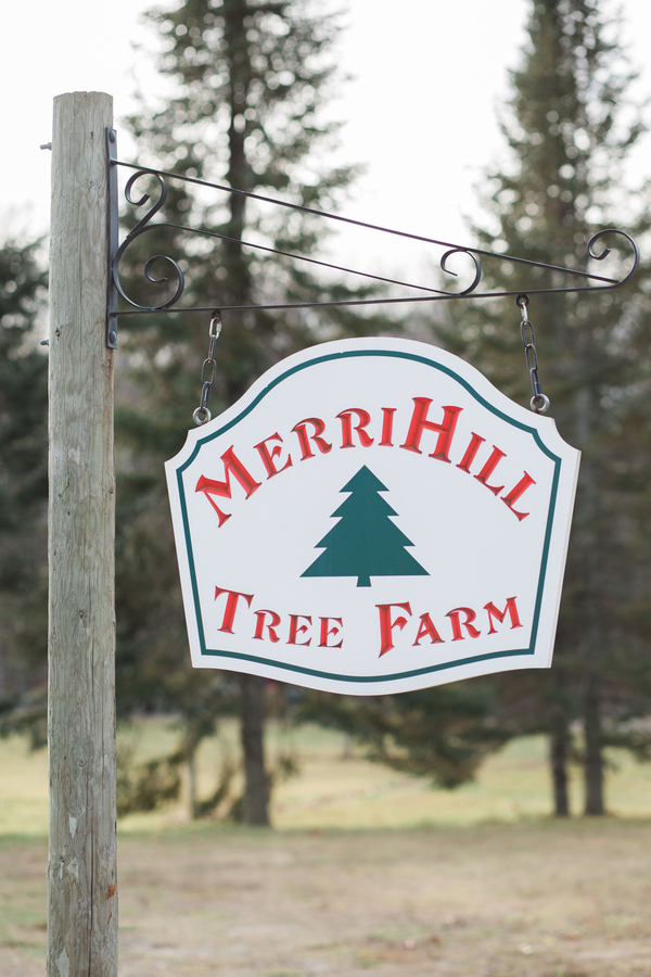 EllysiaFrancovitchPhotography_169A5283_low