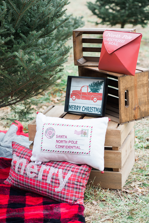 EllysiaFrancovitchPhotography_169A5299_low