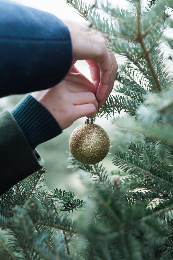 EllysiaFrancovitchPhotography_169A5389_low