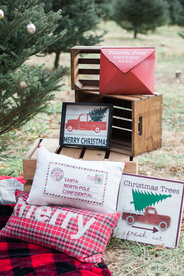 EllysiaFrancovitchPhotography_169A5500_low