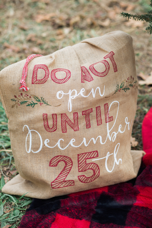 EllysiaFrancovitchPhotography_169A5503_low