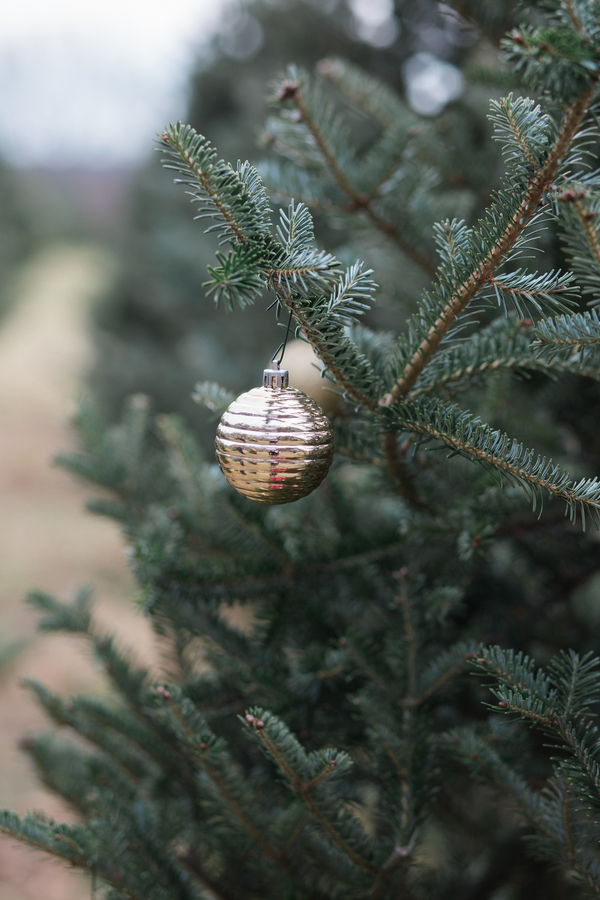 EllysiaFrancovitchPhotography_169A5505_low