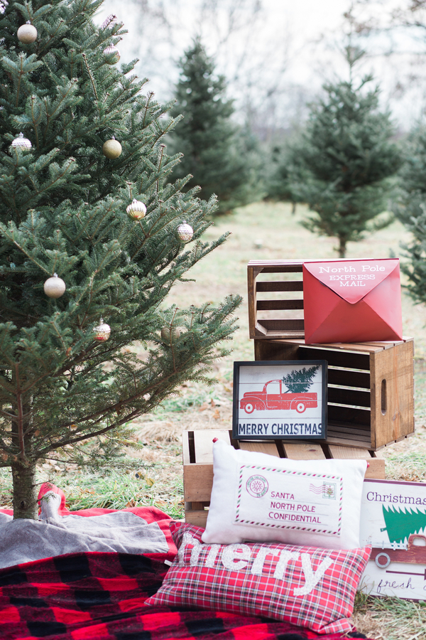 EllysiaFrancovitchPhotography_169A5507_low