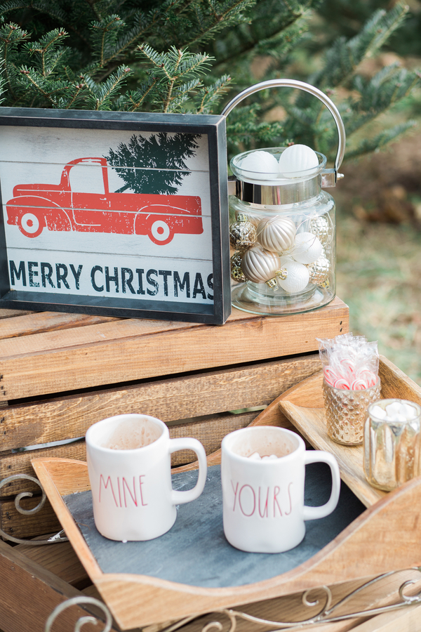 EllysiaFrancovitchPhotography_169A5730_low