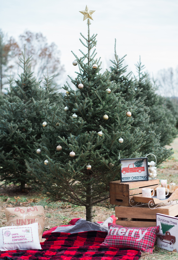 EllysiaFrancovitchPhotography_169A5737_low