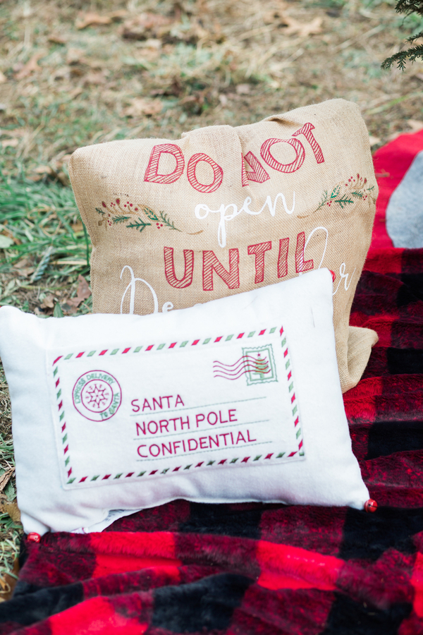 EllysiaFrancovitchPhotography_169A5738_low