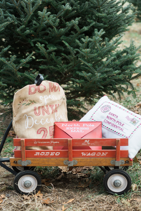 EllysiaFrancovitchPhotography_169A5751_low