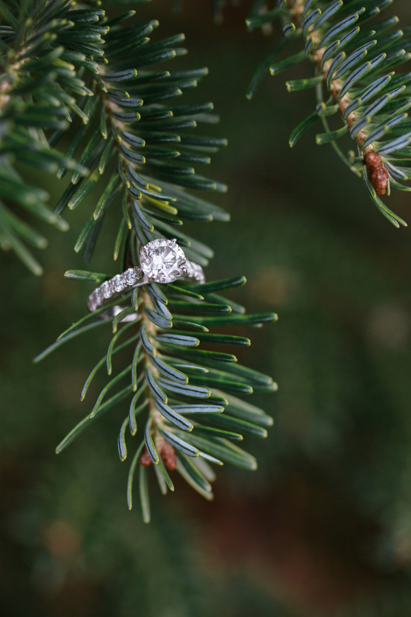 EllysiaFrancovitchPhotography_IMG8335_low