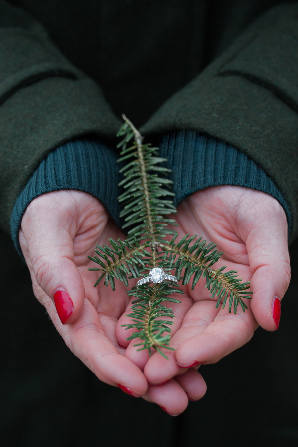 EllysiaFrancovitchPhotography_IMG8343a_low