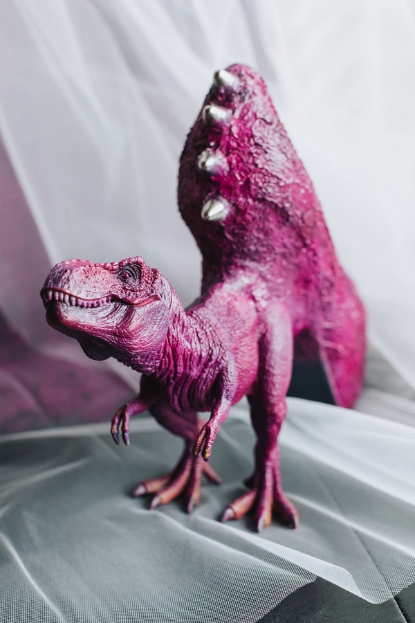 Allie and Austin's Dinosaur Loving Museum of Science Wedding