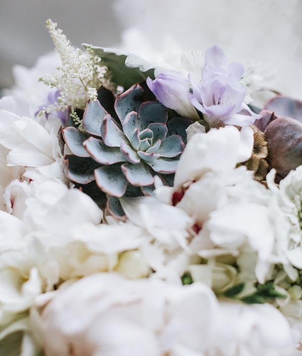 Allie and Austin's Dinosaur Loving Museum of Science Wedding
