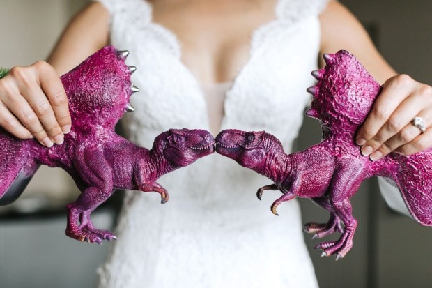 Allie and Austin's Dinosaur Loving Museum of Science Wedding