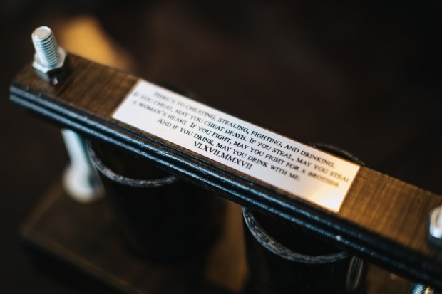 Allie and Austin's Dinosaur Loving Museum of Science Wedding