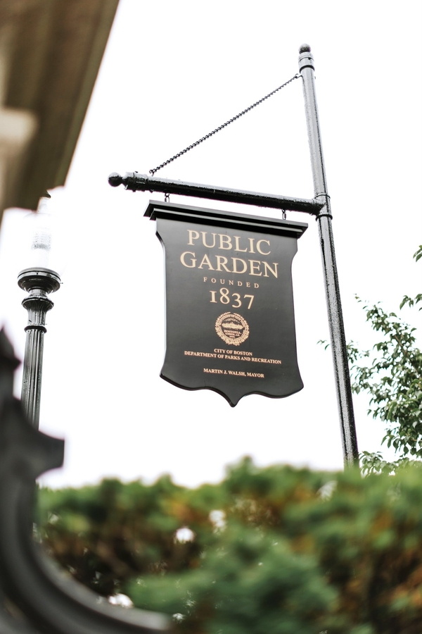 Allie and Austin's Dinosaur Loving Museum of Science Wedding