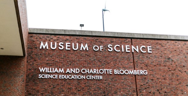 Allie and Austin's Dinosaur Loving Museum of Science Wedding