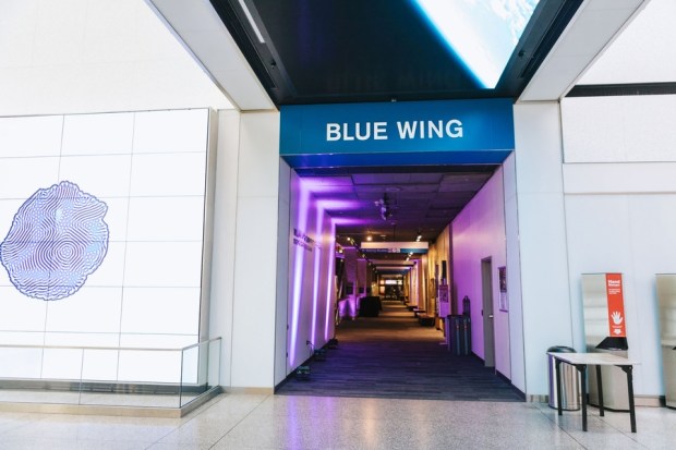 Allie and Austin's Dinosaur Loving Museum of Science Wedding