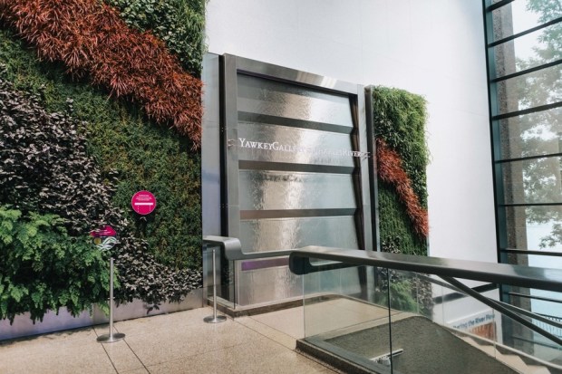 Allie and Austin's Dinosaur Loving Museum of Science Wedding