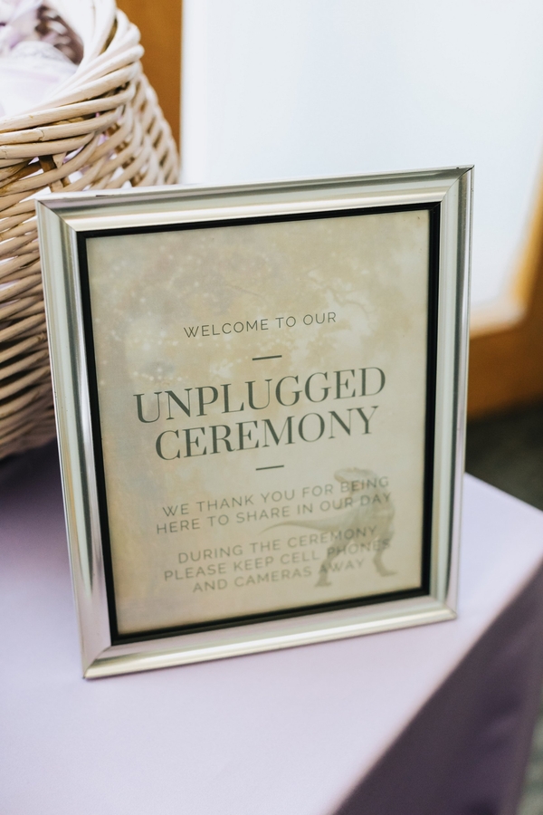 Allie and Austin's Dinosaur Loving Museum of Science Wedding