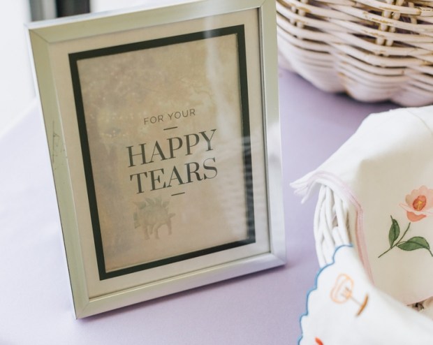 Allie and Austin's Dinosaur Loving Museum of Science Wedding