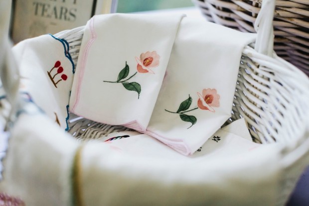 Allie and Austin's Dinosaur Loving Museum of Science Wedding