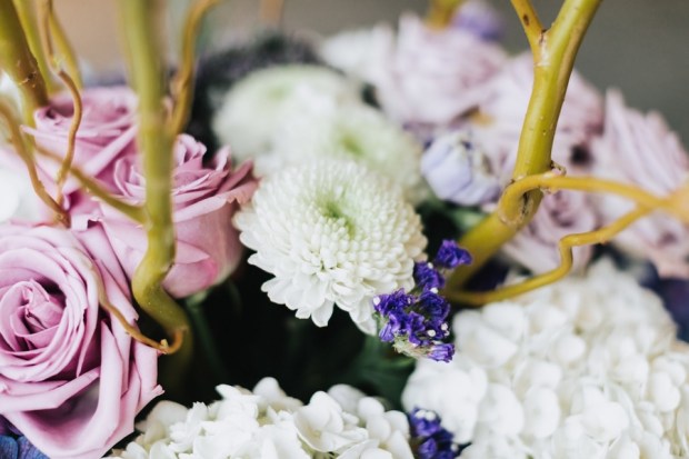 Allie and Austin's Dinosaur Loving Museum of Science Wedding