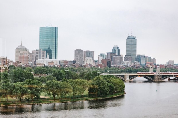 Allie and Austin's Dinosaur Loving Museum of Science Wedding