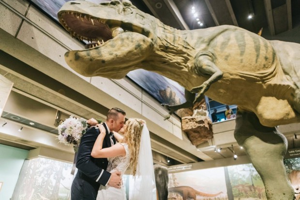 Allie and Austin's Dinosaur Loving Museum of Science Wedding