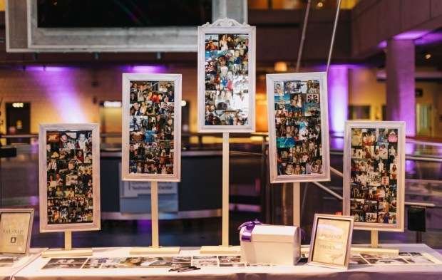 Allie and Austin's Dinosaur Loving Museum of Science Wedding