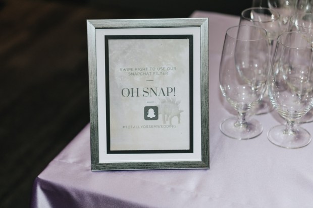 Allie and Austin's Dinosaur Loving Museum of Science Wedding