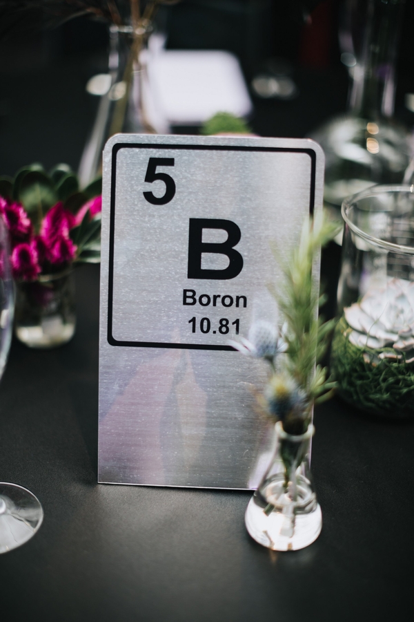 Allie and Austin's Dinosaur Loving Museum of Science Wedding