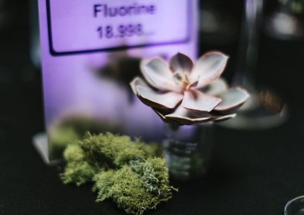 Allie and Austin's Dinosaur Loving Museum of Science Wedding