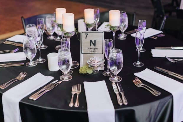 Allie and Austin's Dinosaur Loving Museum of Science Wedding