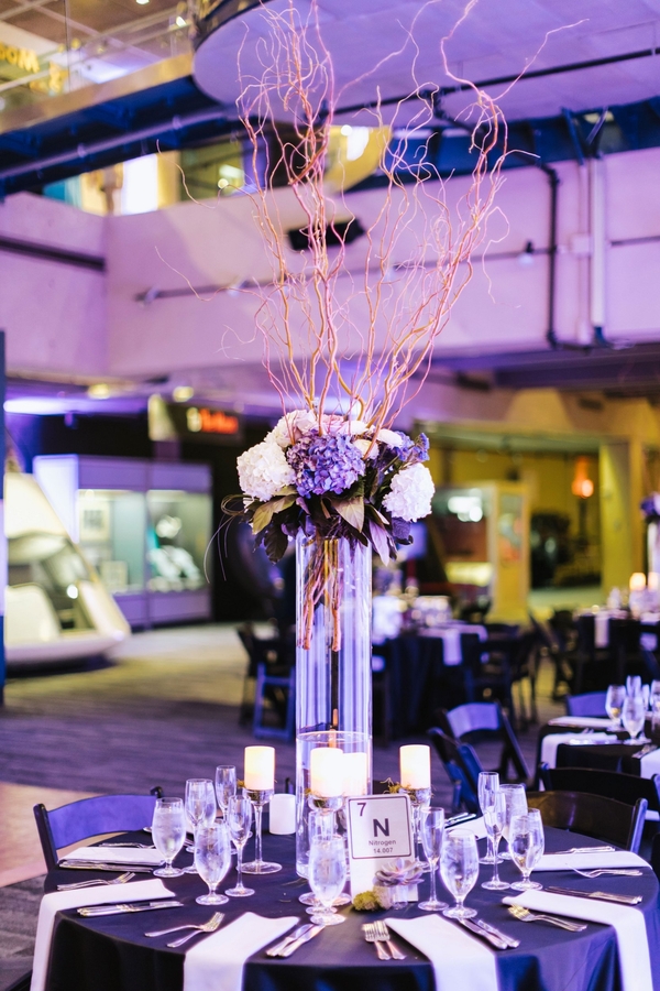 Allie and Austin's Dinosaur Loving Museum of Science Wedding