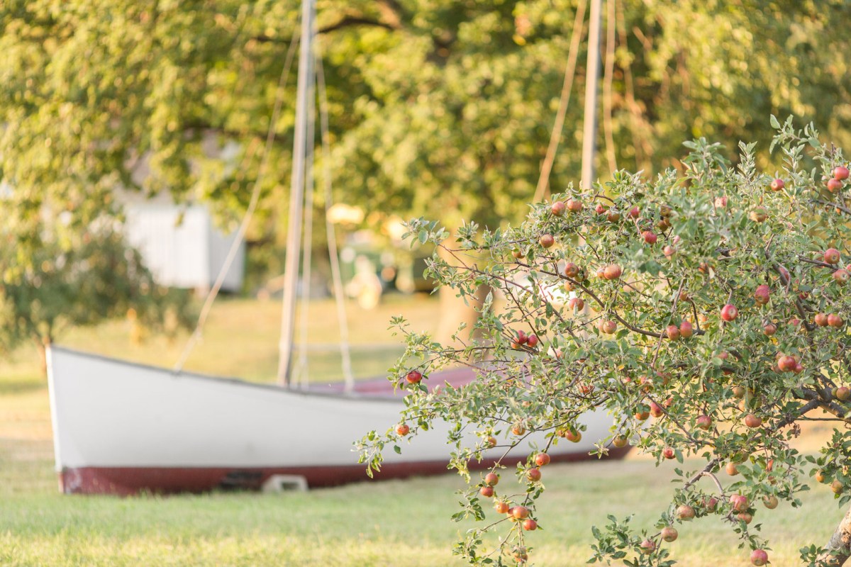 Nyssa and Pedro's Glamping Inspired Thompson Island Wedding on The Boston Bride