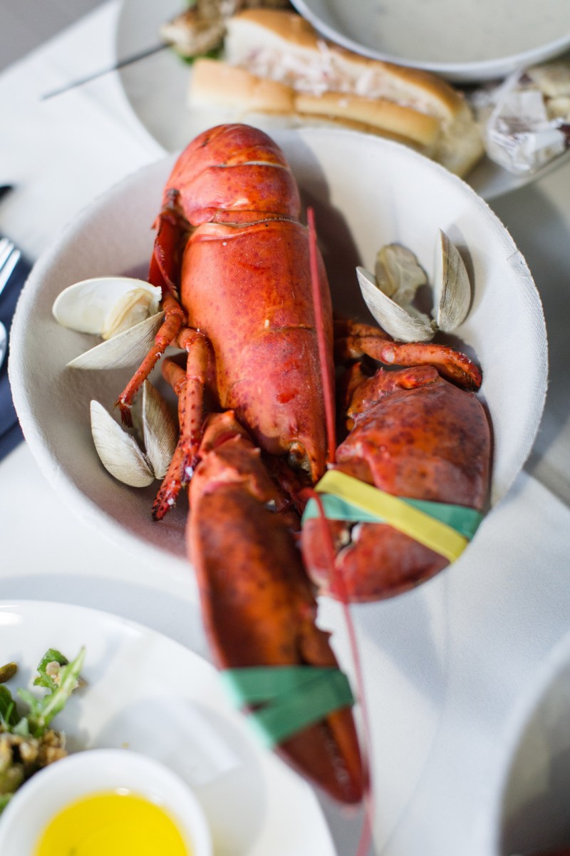 Nyssa and Pedro's Glamping Inspired Thompson Island Wedding on The Boston Bride