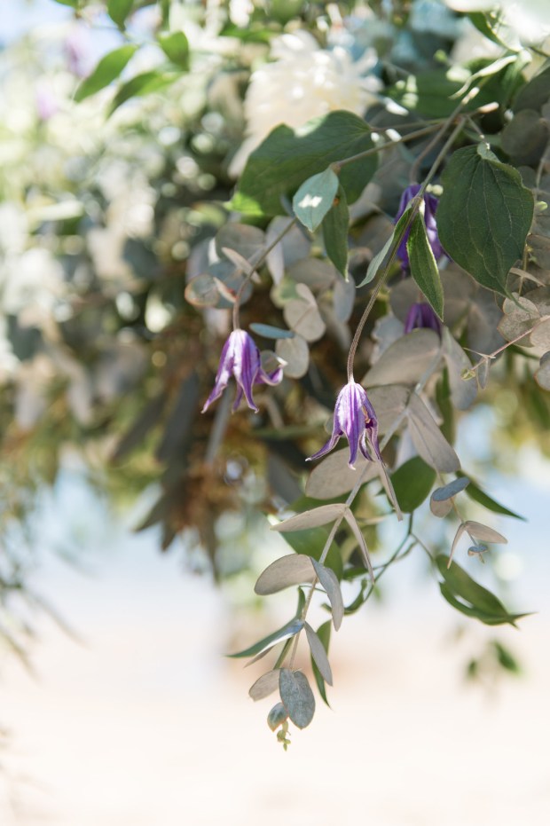 byhalie_CoastalStyledShootLynne0149_big