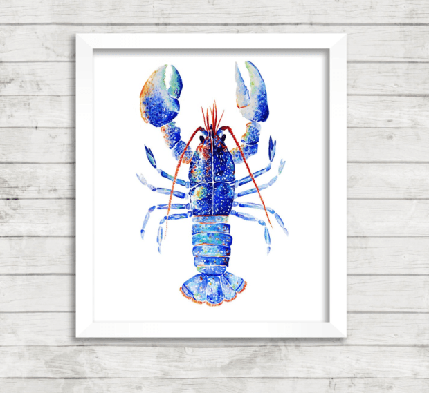 Screen Shot 2018-11-03 at 12.30.21 PM