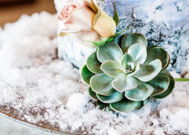 qhegartyphotographyweddingsampportraits_dsc6135_big