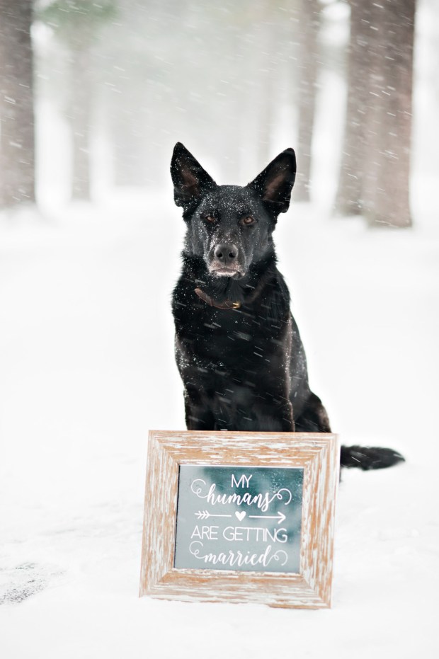 roos_roos_katlynreillyphotography_lisaampchris_014_big