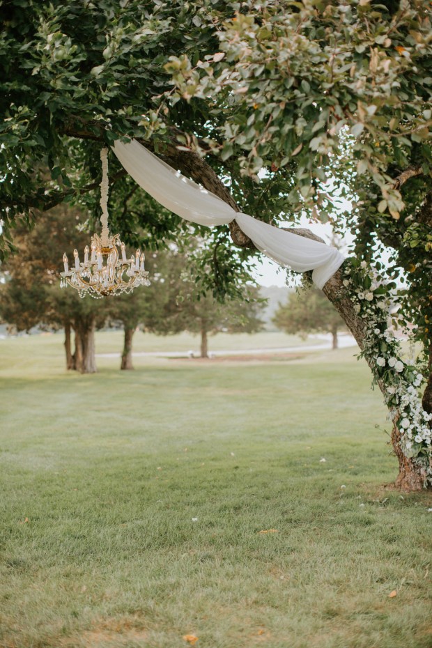 SarahWestonPhotography_SarahWestonPhotography1_big