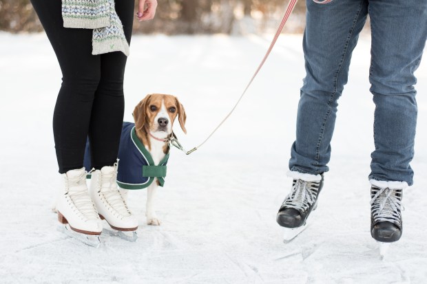 Young_Germain_AliciaAnnPhotographie_HaleyandAJEngagement31