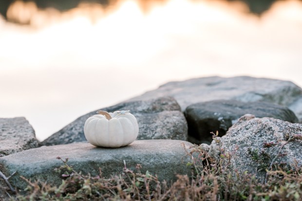 Battista_Dow_MichelleDunhamPhotography_michelledunhamphotographyduxburymaengagmentmariaandwes82