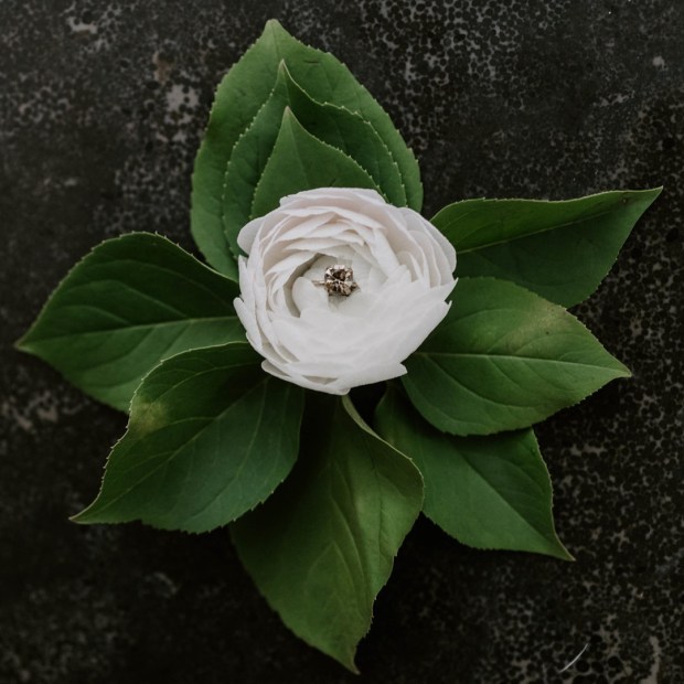 AllTheLittleStoriesPhotography_201807311040_big