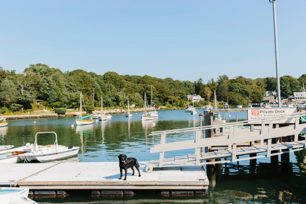 Burleigh_Grunseich_ColetteKuligPhotography_A54A5443_big