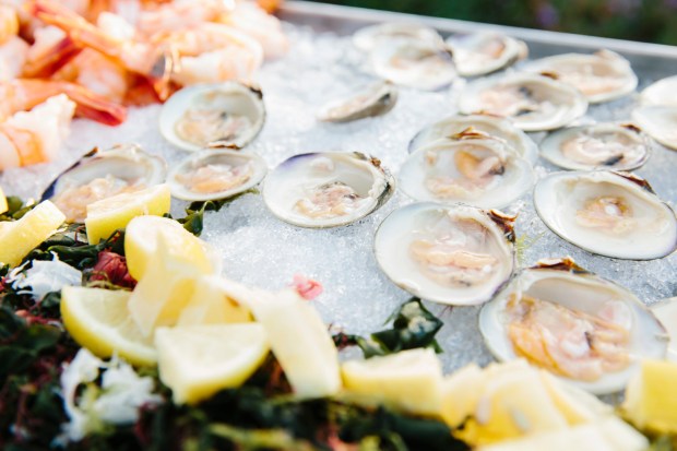 Burleigh_Grunseich_ColetteKuligPhotography_A54A6204_big